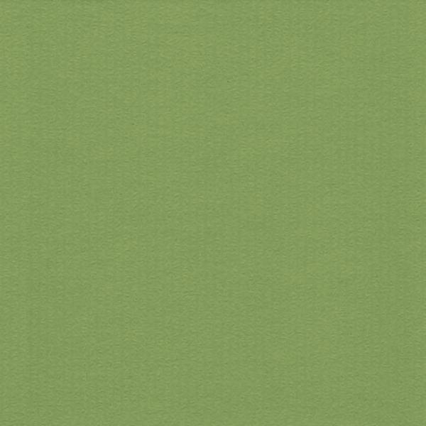1,6 mm Passepartout mit individuellem Ausschnitt 21x29,7 cm | Maigrün